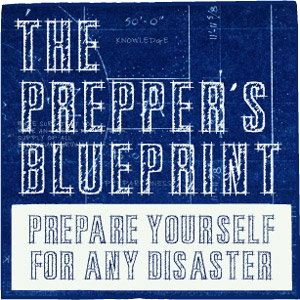 The Prepper's Blueprint