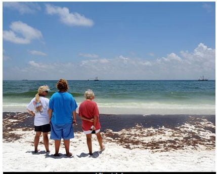 Pensacola Beach Oil