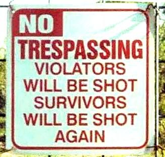 Survivors Will Be Shot Again