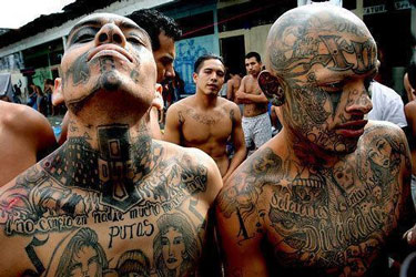 immigrant-gangs