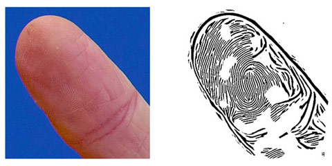 fingerprint-photo