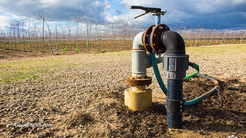 California Farmers Skip Planting, Sell Water to Desperate Cities: “We’re Afraid They’ll Just Take It”