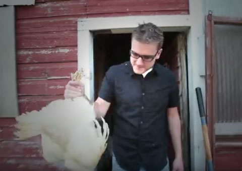 homestead-make-own-chicken-sandwich
