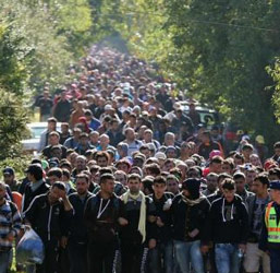 They Are An Invading Army: “Let Me Explain What You’re Not Seeing Reported About The European Situation”