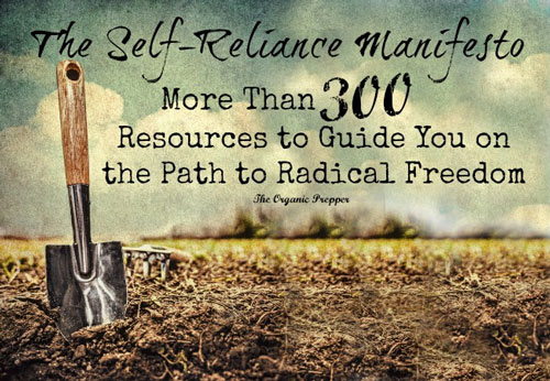 self-reliance-manifesto