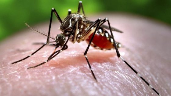 “Unprecedented” West Nile Outbreak In Colorado