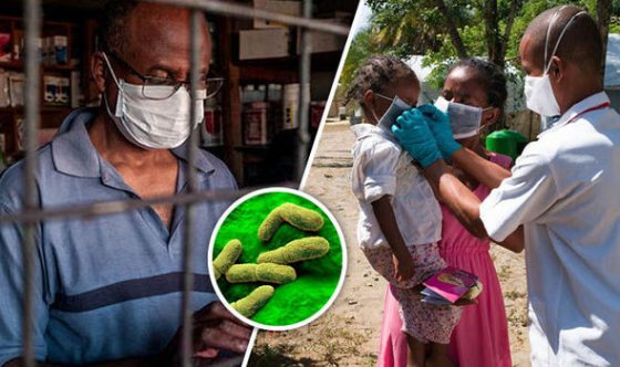 Indonesian Health Ministry Issued A Marburg Virus Warning