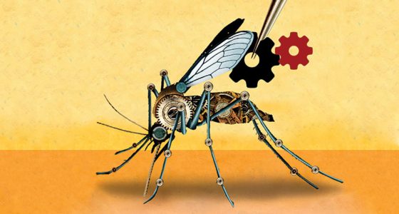 Will The U.S. Use Virus-Spreading Mosquitoes To Attack Russia?