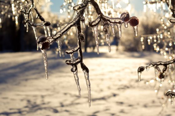 Farmer’s Almanac Prediction: We Are ‘Calling For Teeth-Chattering Cold’