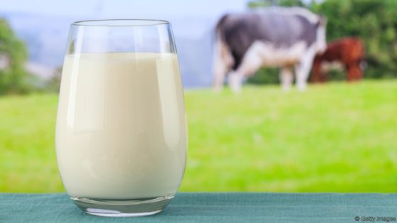 Rulers Warn Against Drinking Raw Milk Rulers Warn Against Drinking Raw Milk