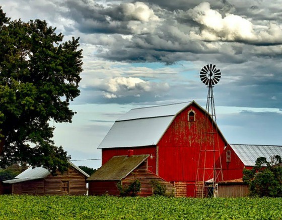 3 Tips: How To Start A Self-Sustaining Homestead Homestead-farm