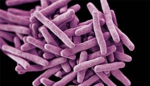 OUTBREAK: Oregon Hospital Reports Rare Fungal Superbug
