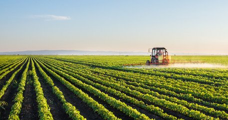 Food Crisis Alert: U.S. Farmer Income PLUMMETS