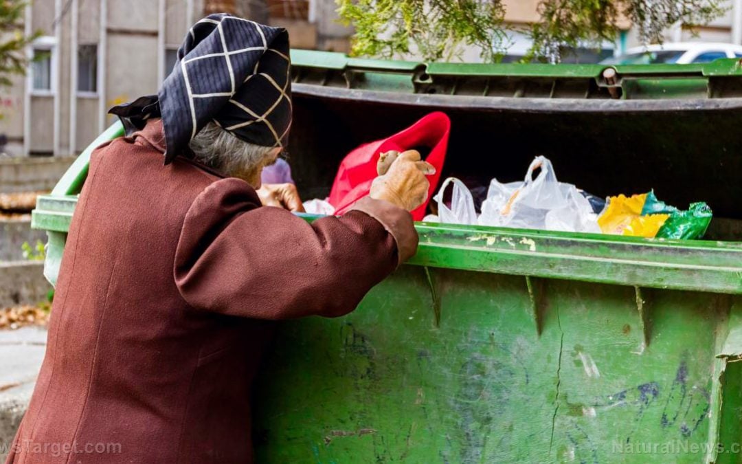 SCARCITY vs. Abundance: How Globalists Enslave Humanity By Creating Artificial Scarcity In Everything