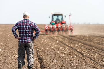 British Farmers Are Being Paid To Leave Crops Rotting In The Ground Or To “Plant” Food For The Birds