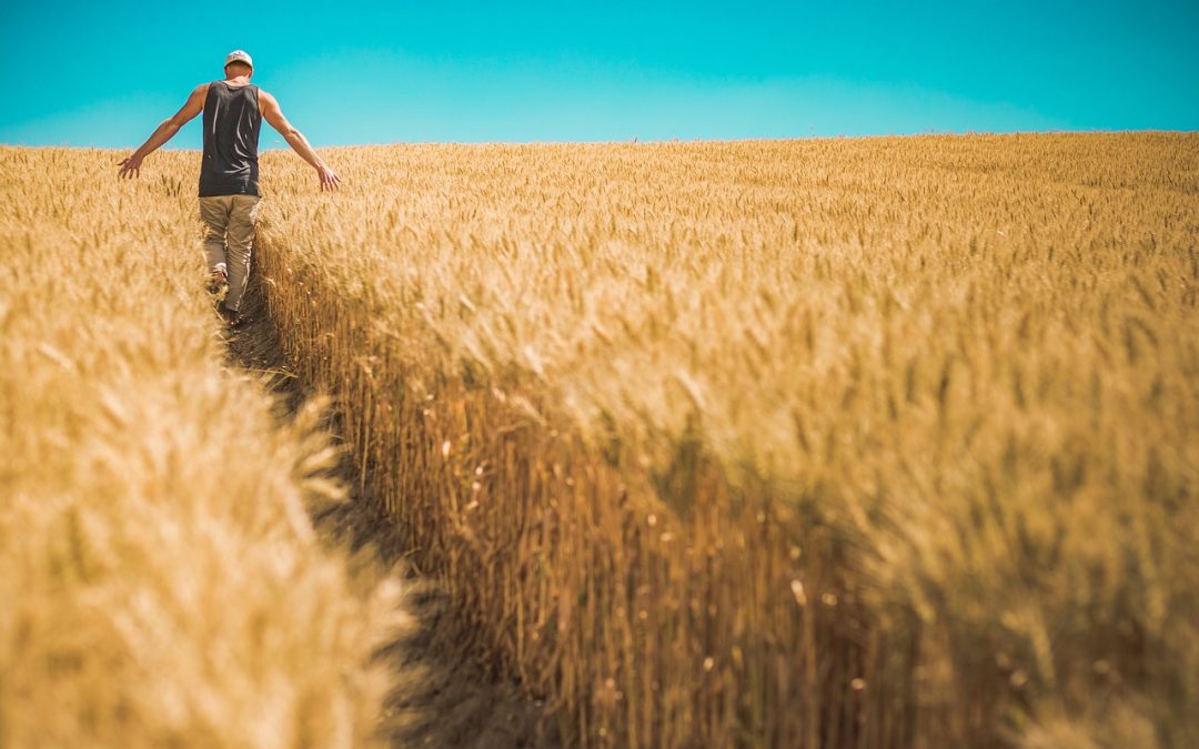 “Farmageddon”: Trump Announces More Emergency Bailouts As U.S. Farm Debt Soars To $416 Billion