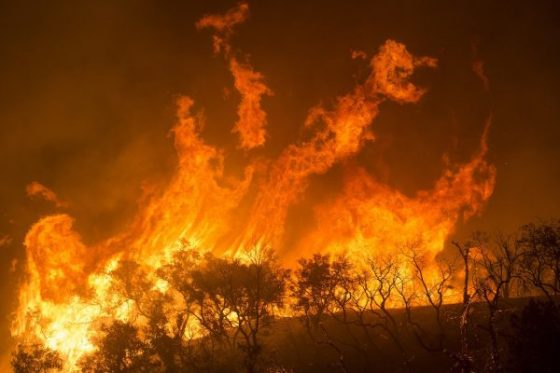 AUSTRALIA’S BUSHFIRES: POLICE ACCUSE 24 PEOPLE OF ARSON Wildfires-e1578312713649