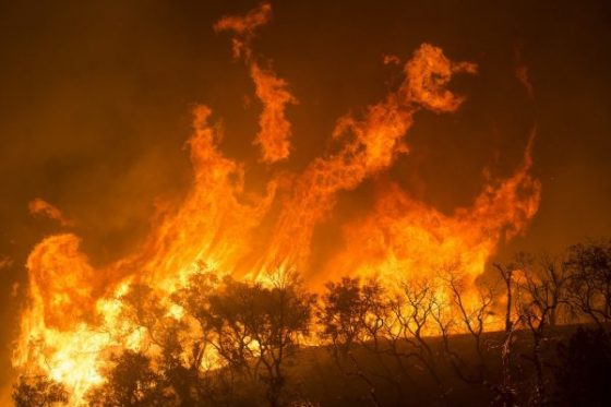 L.A.’s Rebuilding Nightmare: Only 4 Permits Issued After Fire Destroys 6,000 Homes L.A.’s Rebuilding Nightmare: Only 4 Permits Issued After Fire Destroys 6,000 Homes