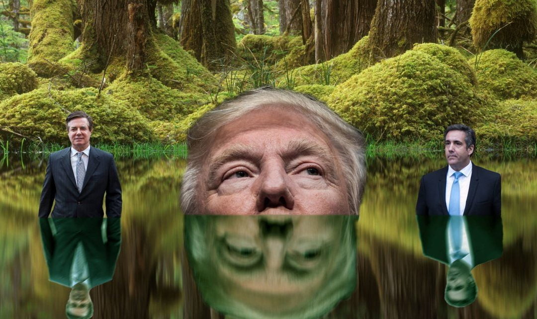 Here Are 18 Ways Trump Supported The Swamp During His Presidency
