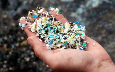MICROPLASTICS In Wastewater Fuel Antibiotic Resistance, Study Warns