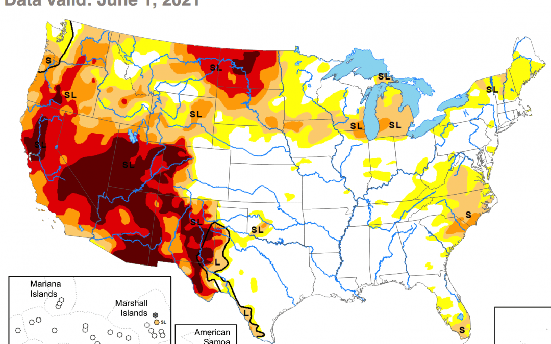 Ranchers Sell Off Cattle And Farmers Idle Hundreds Of Thousands Of Acres As America’s Drought Emergency Escalates