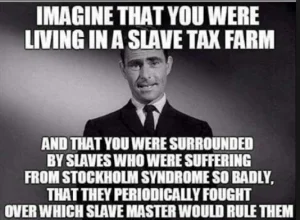 taxslave-300x220.png.webp