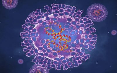 Scientists: Monkeypox Mutates At An “Unprecedented” Pace