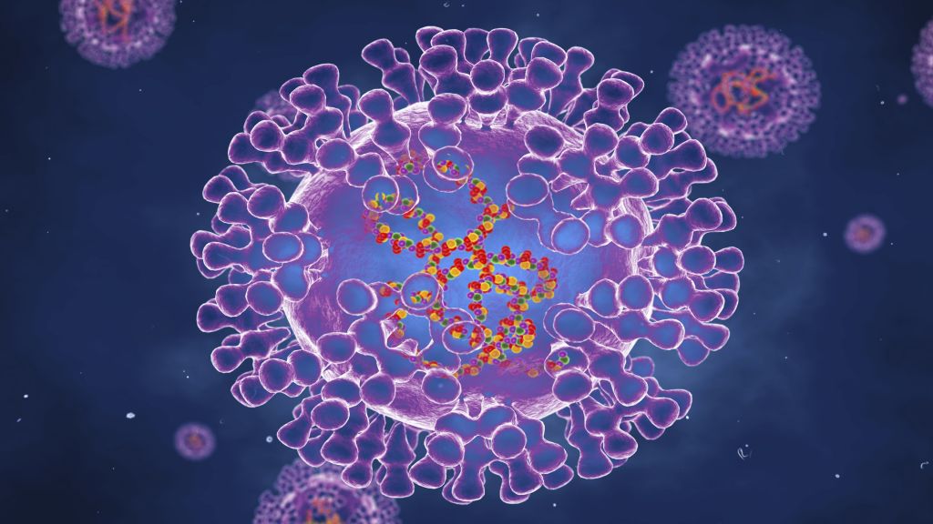 Scientists: Monkeypox Mutates At An “Unprecedented” Pace