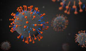 Viruses Don’t Exist and Why It Matters – By Dr. Sam Bailey