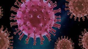 Nipahvirus