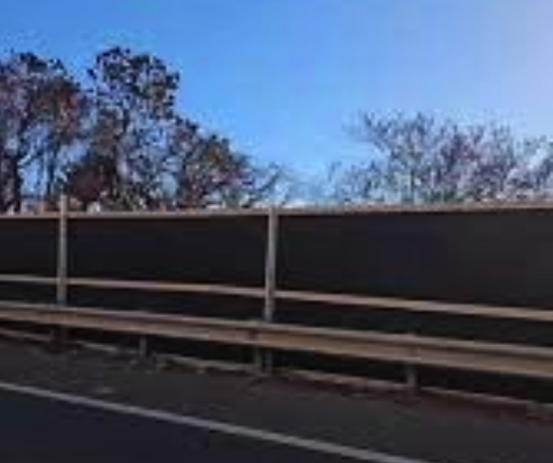 Why Have They Put Miles And Miles Of Creepy Black Fencing Around Lahaina?