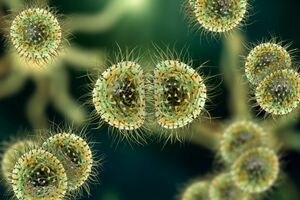 Outbreak Alert: Meningococcal Disease Kills 5 In Virginia