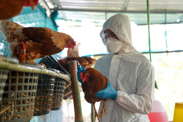 More Human Bird Flu Cases Are Likely