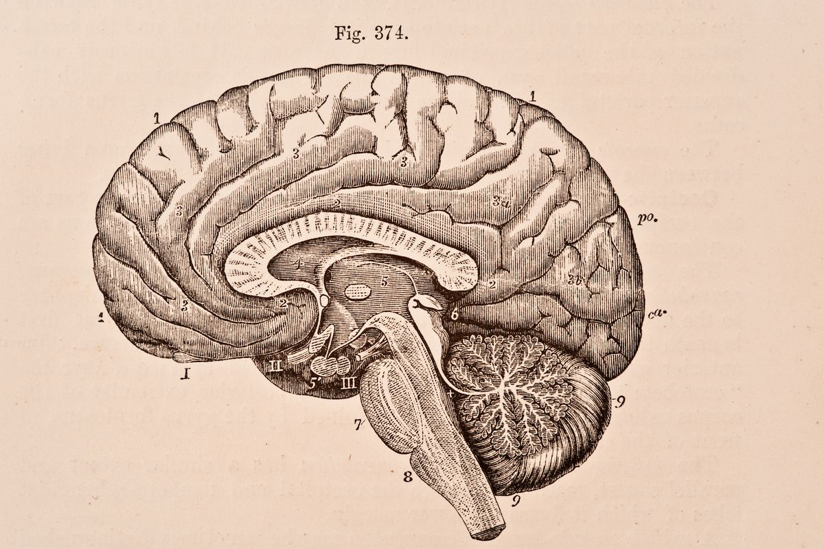 What Is Prion Disease, And Is There An Epidemic?