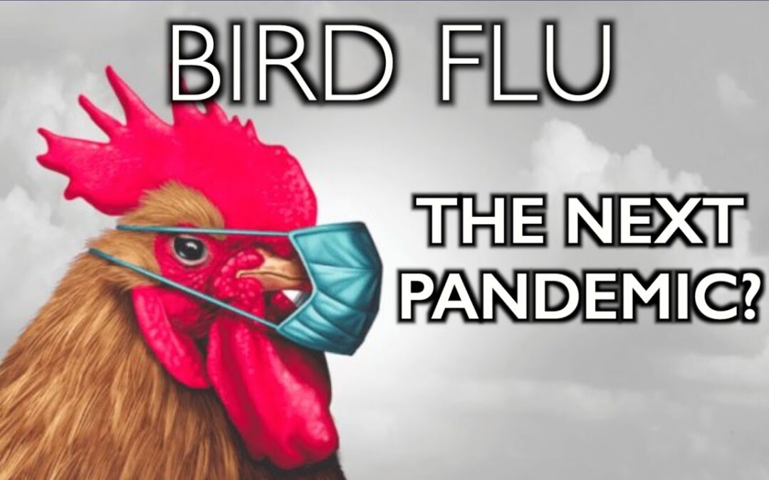 Virologists Plead With Rulers To Prepare For Bird Flu Pandemic