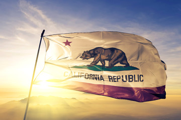 Where California Went Wrong